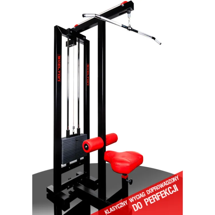 Station de musculation professionnelle Lat Pulldown pour dorsaux et biceps avec poulie haute