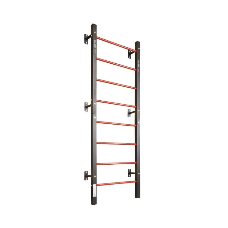 Station d'entraînement complète avec espalier pour exercices multiples