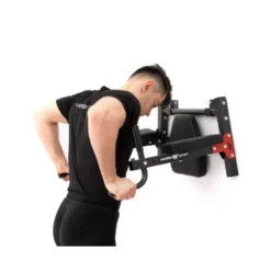 Station dips avec poste à traction à fixer au mur pour training à domicile