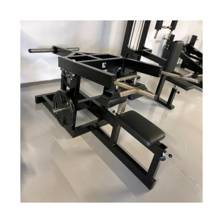 Station Dips press professionnelle à charge libre pour training complet des triceps - Disques de poids olympiques