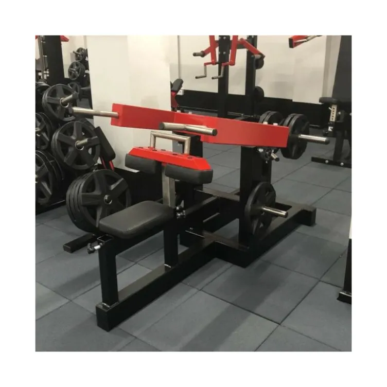 Station Dips press professionnelle à charge libre pour training complet des triceps - Disques de poids olympiques