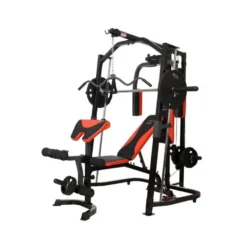 Station Home-gym complète avec barre guidée multi-fonctions et leg curl extension