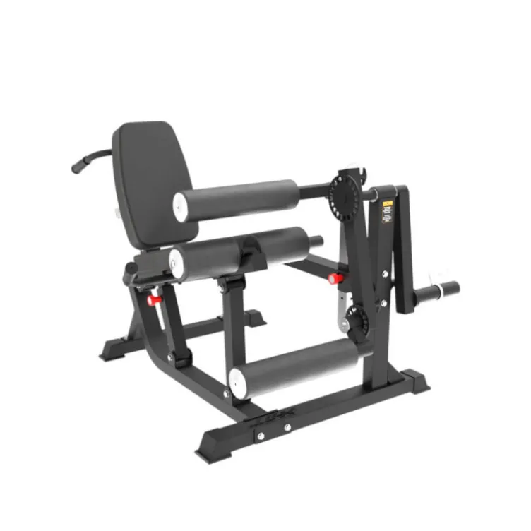 Station Leg Curl Extension à charge libre de qualité pour entraînement en Home-Gym - Capacité de charge 150 kg