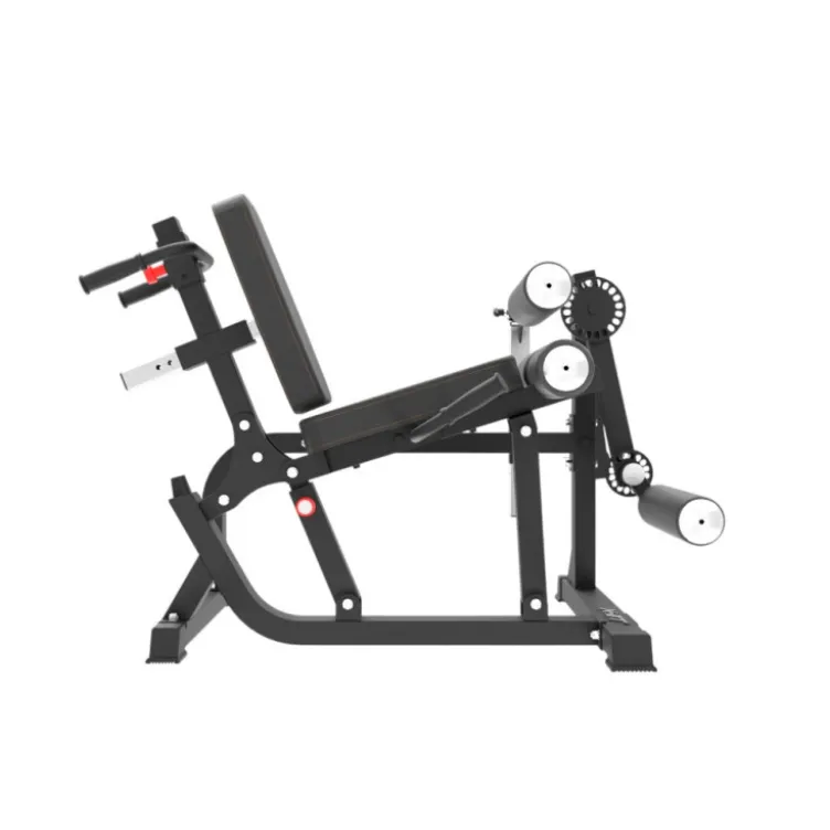 Station Leg Curl Extension à charge libre de qualité pour entraînement en Home-Gym - Capacité de charge 150 kg