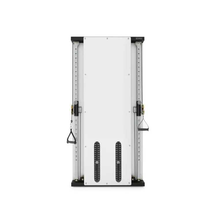 Station musculation poulie vis-à-vis mirror pour exercices de tirage avec charge guidée jusqu'à 50 kg - Appareil professionnel