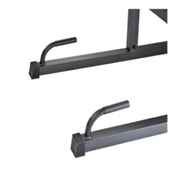 Station polyvalente Chaise romaine Tractions, Abdominaux, Dips et Pompes