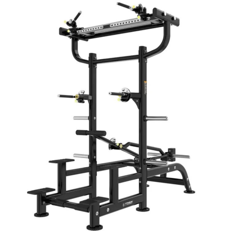 Station pour dips et tractions assistées avec levier d'assistance et prises ajustables - Titanium Genesis Series GS-PL85
