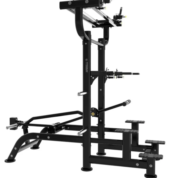 Station pour dips et tractions assistées avec levier d'assistance et prises ajustables - Titanium Genesis Series GS-PL85
