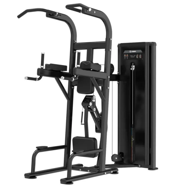 Station pour les tractions et dips assistés avec colonne de poids 125 kg - Titanium Strength Black Series RX BSRX-S2