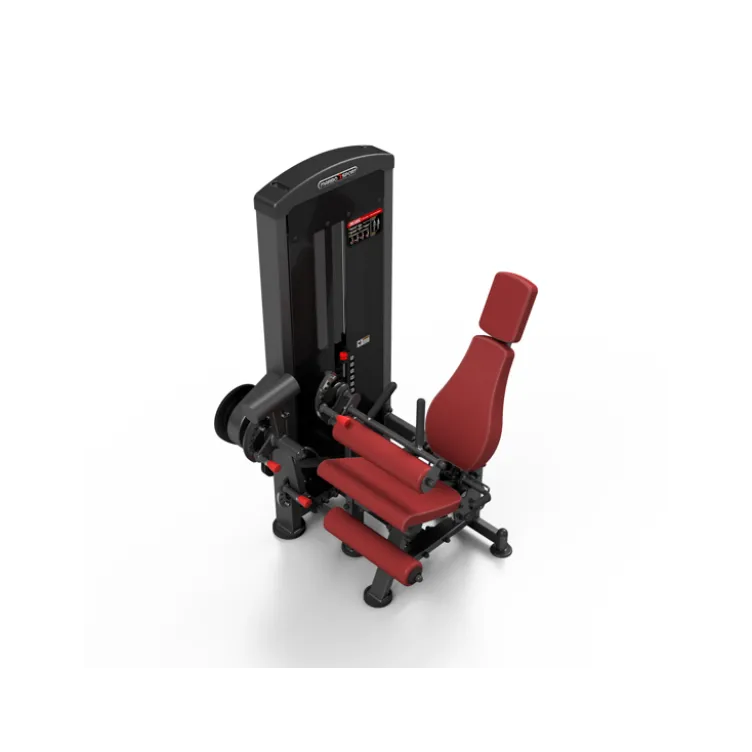Station professionnelle complète Leg extension et Leg curl