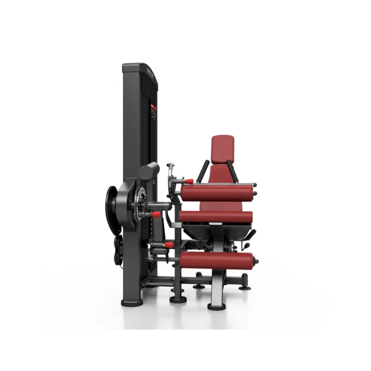 Station professionnelle complète Leg extension et Leg curl