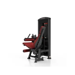 Station professionnelle complète Leg extension et Leg curl