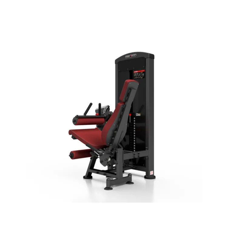 Station professionnelle complète Leg extension et Leg curl