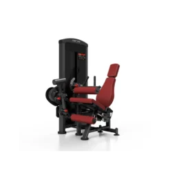 Station professionnelle complète Leg extension et Leg curl
