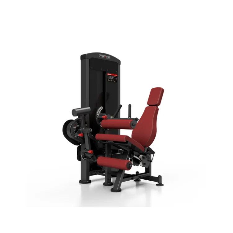 Station professionnelle complète Leg extension et Leg curl