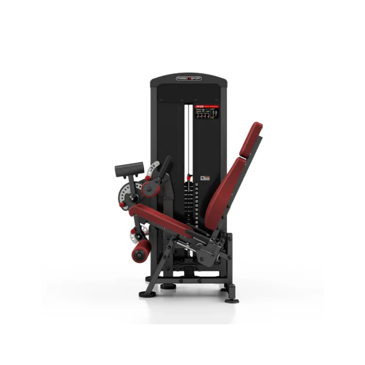 Station professionnelle complète Leg extension et Leg curl