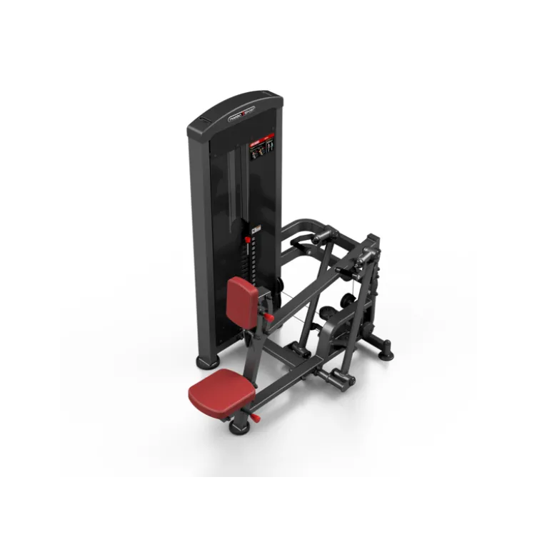 Station professionnelle de musculation pour training complet des dorsaux