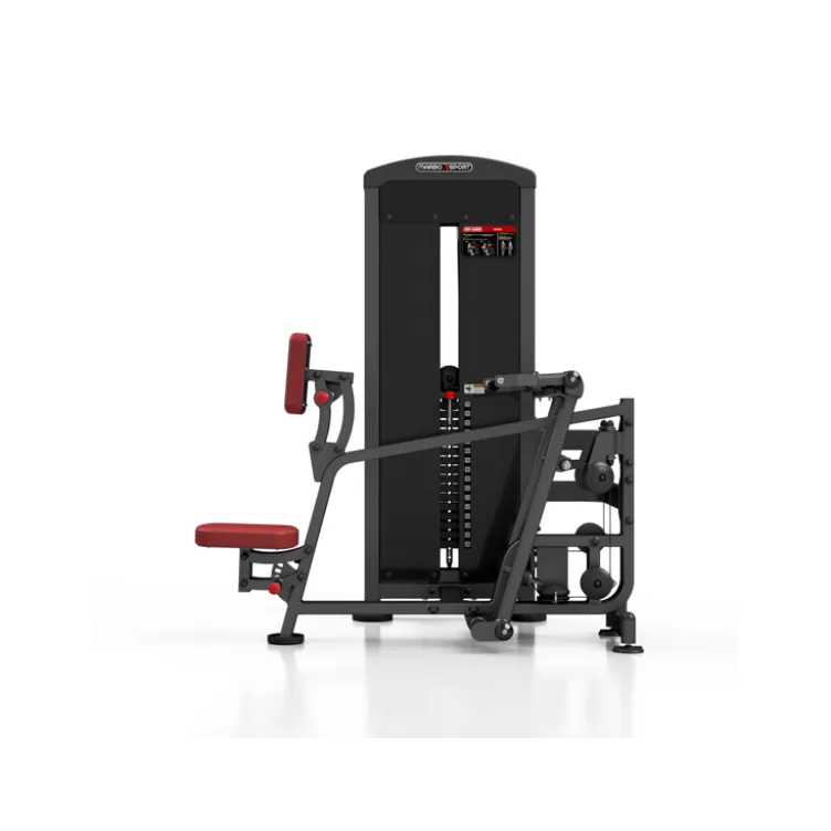 Station professionnelle de musculation pour training complet des dorsaux