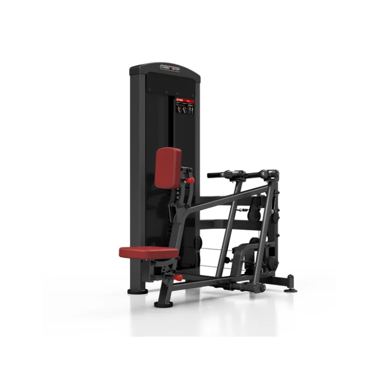 Station professionnelle de musculation pour training complet des dorsaux