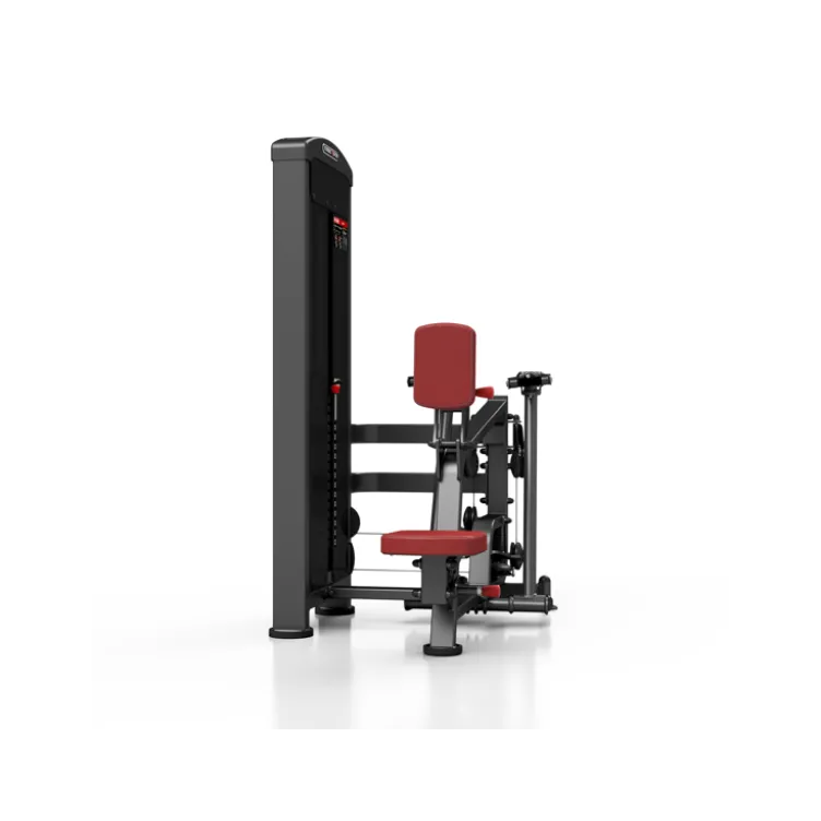 Station professionnelle de musculation pour training complet des dorsaux