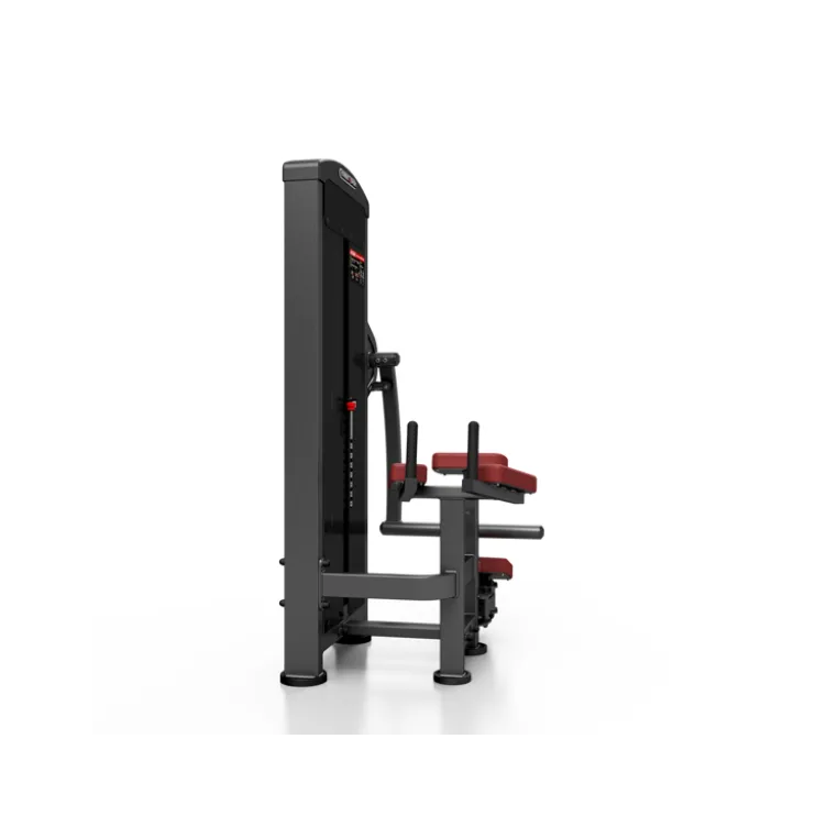 Station pro renforcement complet des fessiers avec colonne de poids 120 kg
