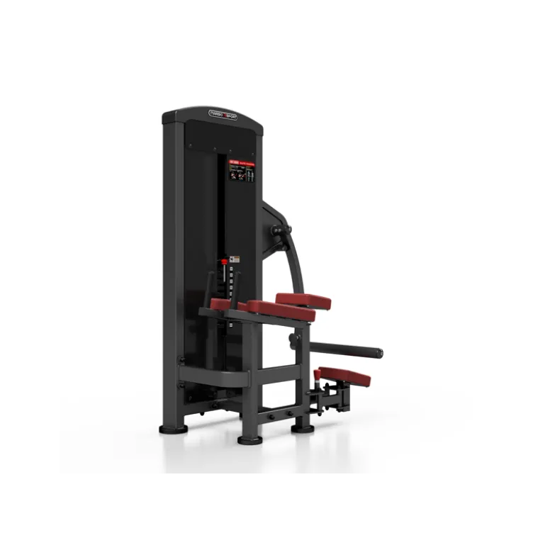 Station pro renforcement complet des fessiers avec colonne de poids 120 kg