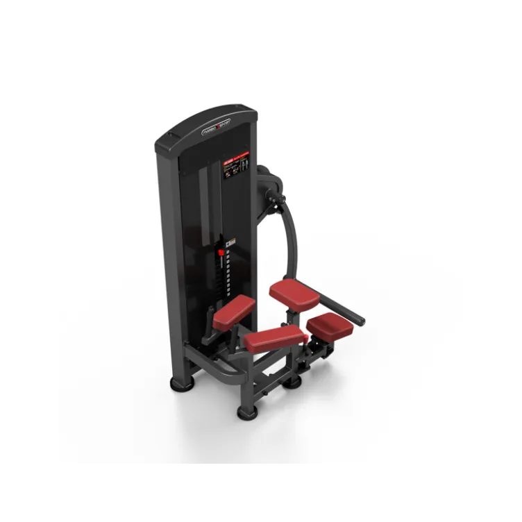 Station pro renforcement complet des fessiers avec colonne de poids 120 kg