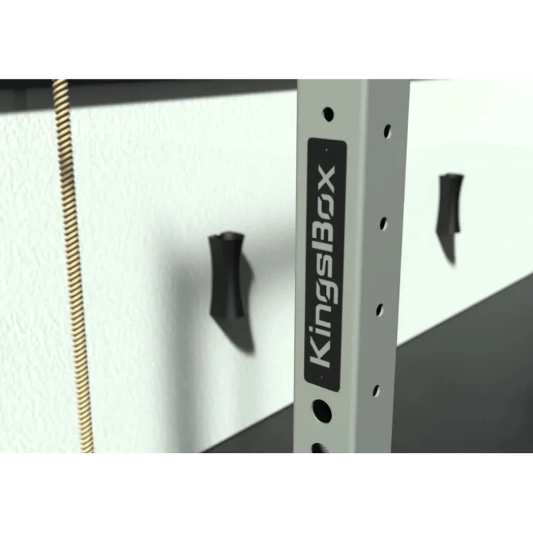 Station rigs Mighty de crossfit polyvalente - Extérieure de qualité professionnelle