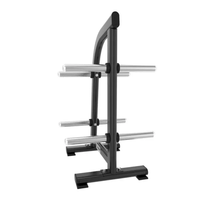 Support de rangement avec 8 tiges de stockage pour disques de poids olympiques - Titanium Strength Black Séries