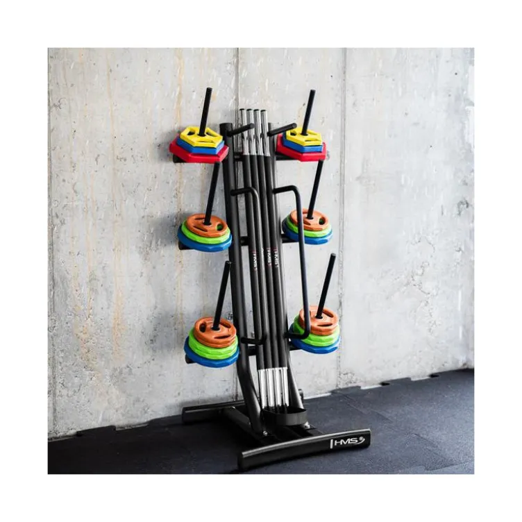 Support de rangement pour barres de musculation et disques de poids avec 6 mandrins et supports x2 pour accessoires