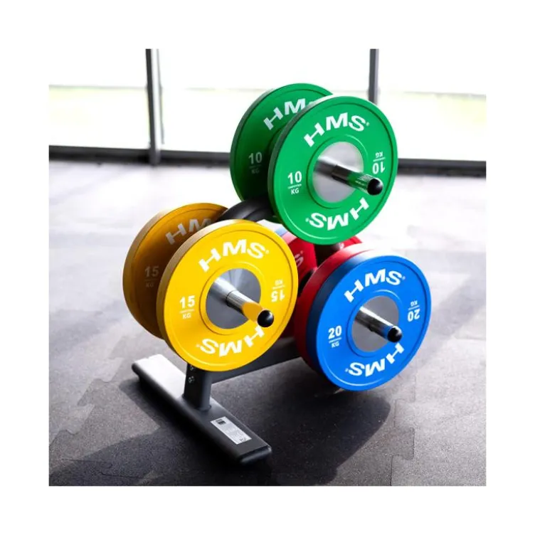 Support de rangement pour disques de poids olympiques - Capacité de charge 500 kg - Home Gym