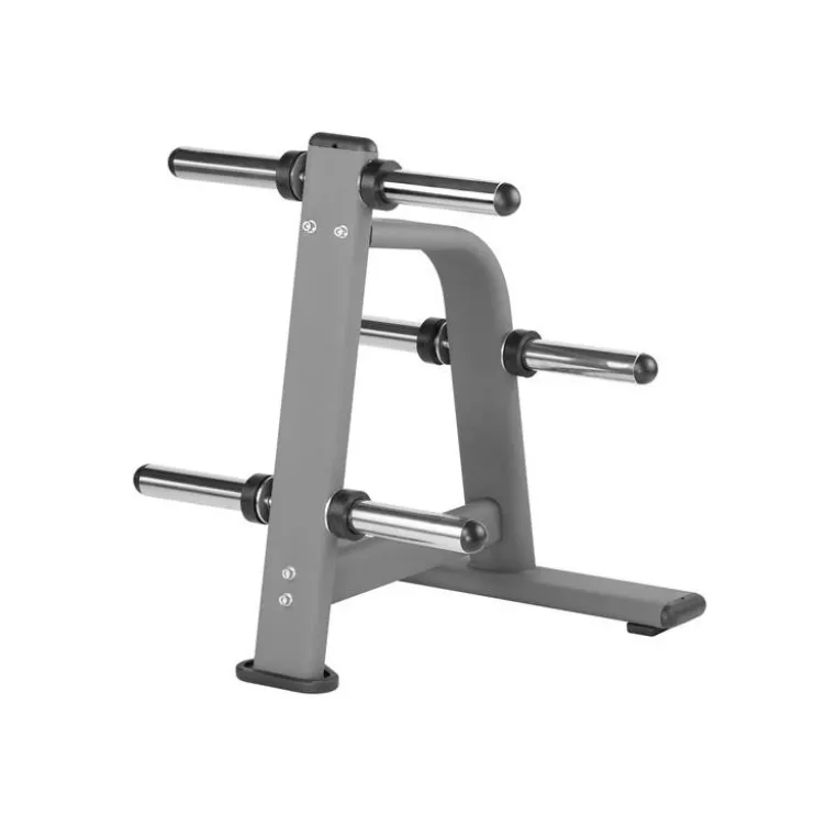 Support de rangement pour disques de poids olympiques - Capacité de charge 500 kg - Home Gym