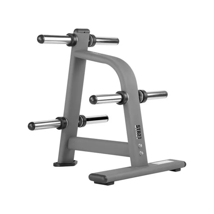 Support de rangement pour disques de poids olympiques - Capacité de charge 500 kg - Home Gym