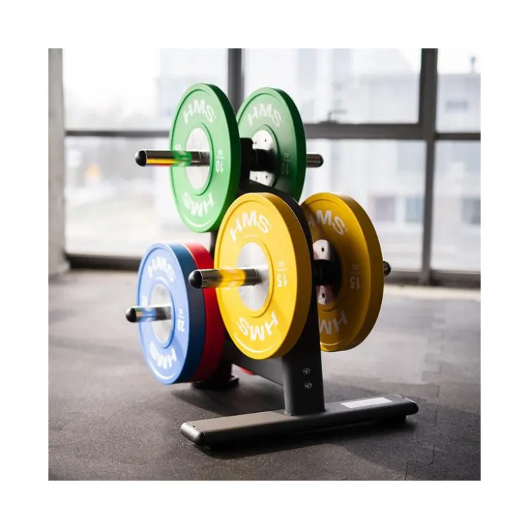 Support de rangement pour disques de poids olympiques - Capacité de charge 500 kg - Home Gym