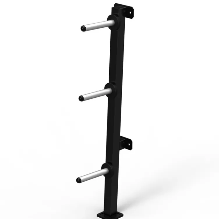 Support pour disques de poids standards 30 mm à fixation murale
