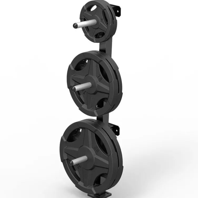 Support pour disques de poids standards 30 mm à fixation murale