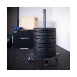 Tour mobile de rangement avec roulettes pour disques de poids olympiques - Capacité de 200 kg