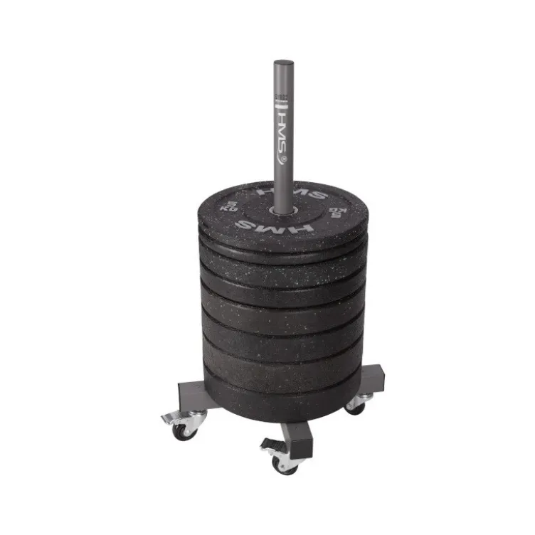 Tour mobile de rangement avec roulettes pour disques de poids olympiques - Capacité de 200 kg