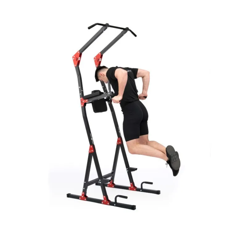 Training station pour séances d'abdominaux et tractions à capacité de charge 120 kg