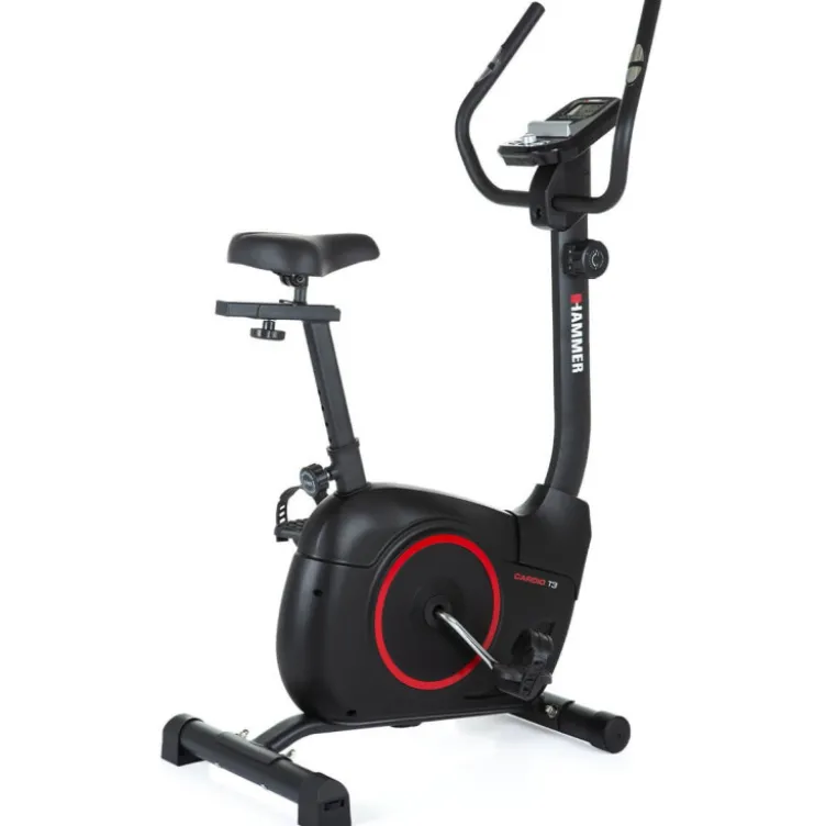 Vélo stationnaire simple d'utilisation avec réglables divers et guidon multi-positions - Difficultés x8 - Cardio T3